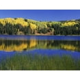 thumbnail image 2 of Flaherty, Dennis 18x15 White Modern Wood Framed Museum Art Print Titled - Colorado, Gunnison NF Autumn scenic at Lost Lake, 2 of 4