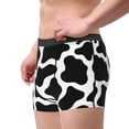 thumbnail image 4 of Balery Men'S Design Name Ultra Soft Performance Boxer Briefs-Size Name, 4 of 9