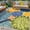 Yellow Green, variant on 5x8 Outdoor Area Rug Washable Multicolored Patio Mat Tropical Botanical Floral Chenille Waterproof Carpet for Deck Backyard Porch Living Room Rainbow Design