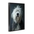 thumbnail image 4 of Stupell Industries Shaggy Pup Portrait Animals & Insects Painting Black Framed Art Print Wall Art, 20 x 30, 4 of 10
