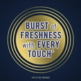 thumbnail image 4 of Febreze Touch Fabric Spray Mountain, 4 of 9