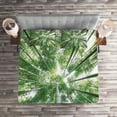 thumbnail image 2 of Ambesonne Green Quilted Coverlet 3 Pcs, Tropic Rain Forest and Sky, Queen Size, Green, 2 of 2