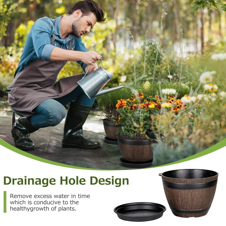 succulent garden pot ideas Prestige Succulent Planter