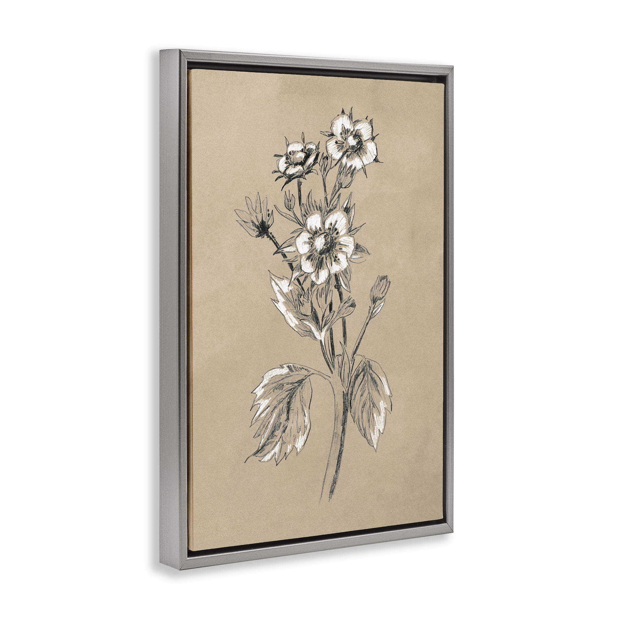 Stupell Industries Apple Blossom Drawing Botanical & Floral Drawing Gray Floater Framed Art Print Wall Art, 21 x 31