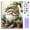 Gnome, variant on Mosaflare Paint by Numbers Kits for Adults,DIY Flower Art Craft Oil Painting Set,Home Wall Decor 16"×20"