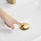 thumbnail image 4 of Cuerpo de cabezal de lanzamiento de oro no poroso con tapa grande (modelo de cesta de mano), 4 of 5
