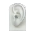 thumbnail image 2 of Accesorios de Modelo de Oreja, Modelo Artificial de Silicona, Ejercicios, Estudio, Oficina, Auriculares, Accesorios de Exhibición , blanco Salvador Modelado de partes del cuerpo humano, 2 of 10