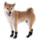 thumbnail image 3 of 8 Pieces Anti Slip Dog Socks Non-slip Dog Socks With Adjustable Strap, 3 of 5