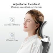 Sihoo High Back Lumbar Support and Breathable Computer Desk Chair, Light Gray