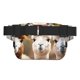 thumbnail image 3 of Disketp Cute Alpaca in Daze Riñonera de Doble Capa, Bolsa de Cintura Ajustable para Viajes, Correr y Senderismo, Riñonera Ligera para Hombre y Mujer, 3 of 9