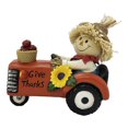 thumbnail image 1 of Espantapájaros Decorativo Way to Celebrate En Auto Con Fruta, 1 of 4