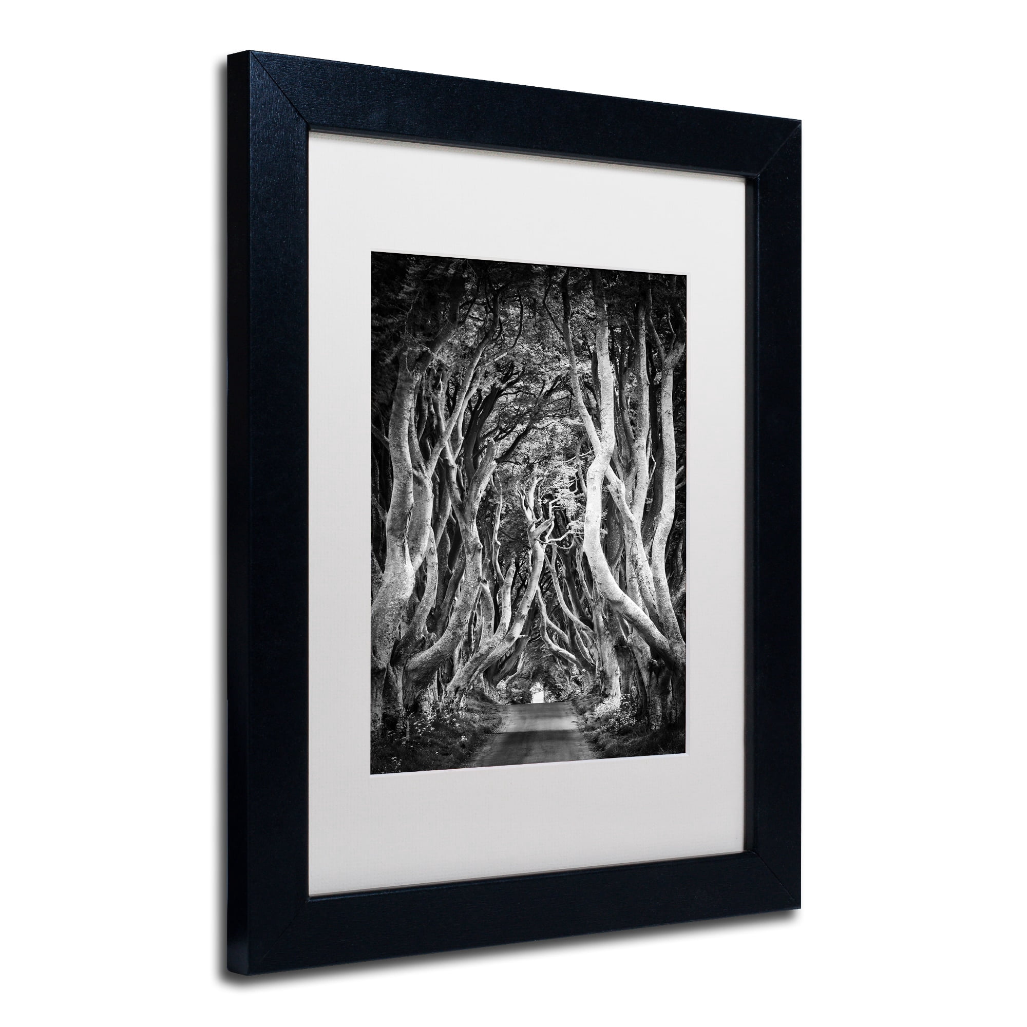 Trademark Fine Art "Zig Zag Nation" Canvas Art by Philippe Sainte-Laudy, White Matte, Black Frame