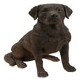 thumbnail image 4 of Hi-Line Gift Ltd Statue de Chien Labrador Retriever Assis Brun, 4 of 5