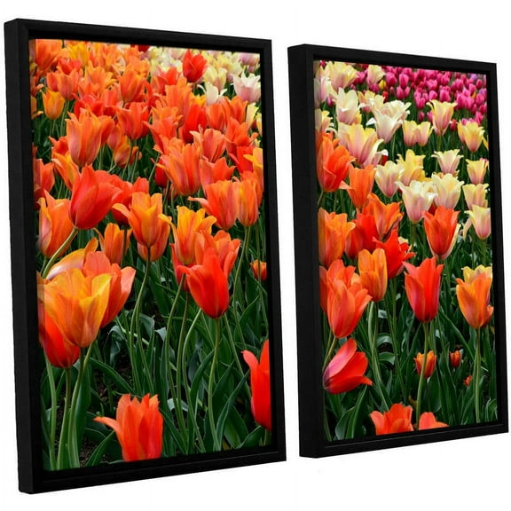 ArtWall Kevin Calkins "Tulips in Spring" 2-Piece Floater Framed Canvas Set