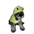 thumbnail image 1 of Disfraz D/Rana P/Perro Talla 00 Color Verde Pet Pals, 1 of 3
