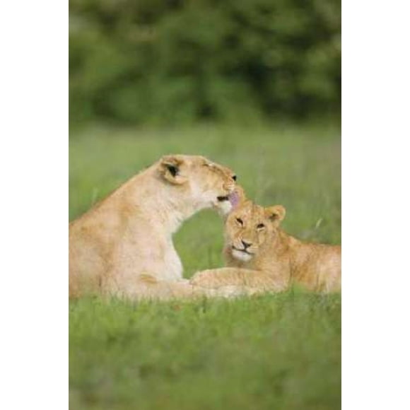 Time Out Poster Print by Susann Parker (10 x 14)