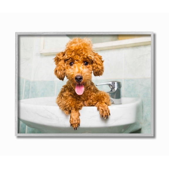 Stupell IndustriesGoldendoodle Puppy Sink PlaytimeFramed Wall Art by In House Art