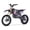 Red, variant on MotoTec 48v Pro Electric Dirt Bike 1800w Lithium Green
