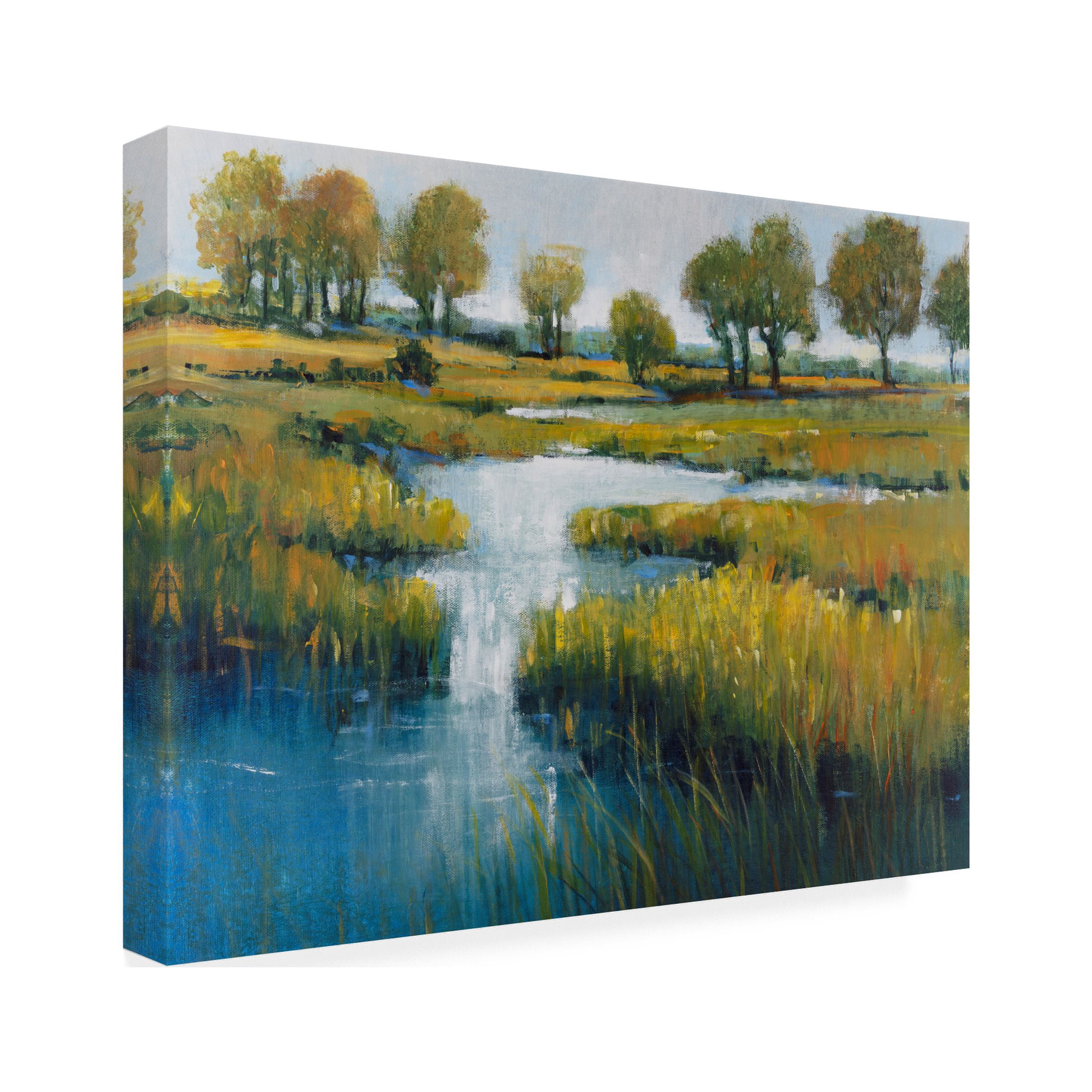 Tim OToole 'Marshland View III' Canvas Art