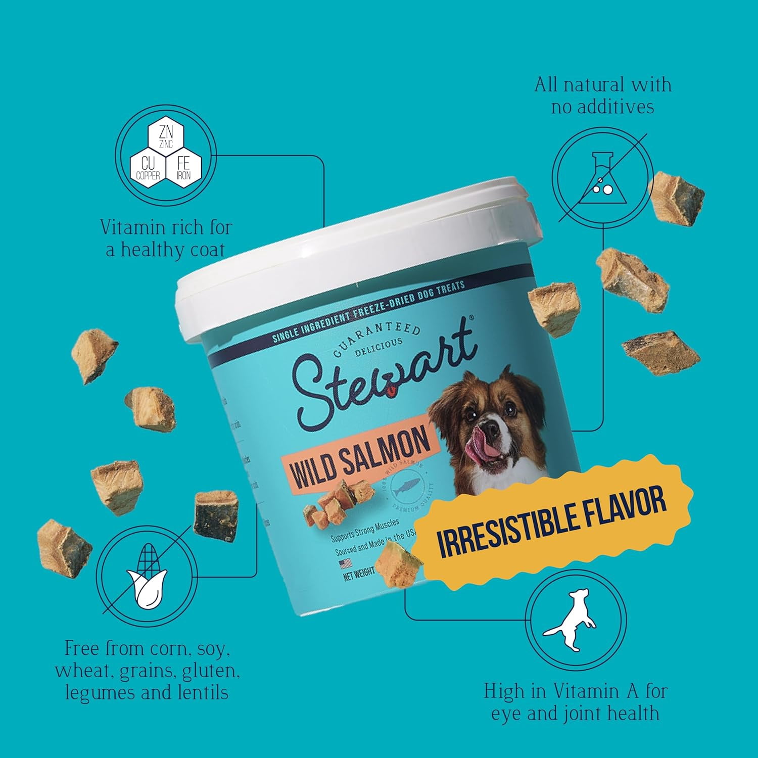 Stewart Freeze Dried Salmon Dog Treats, 9.5 oz Tub