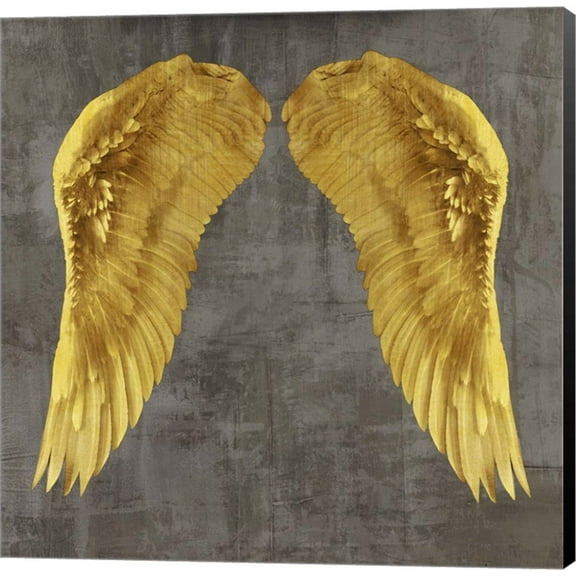 Angel Wings I by Joannoo, Canvas Wall Art