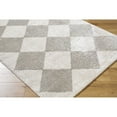 thumbnail image 6 of Livabliss Washable Rugs for Living Room, 2x3 Fossay Shag Modern Light Beige Area Rug, Bedroom Dining Room Home Decor Stain Resistant Carpet (2' x 2'11"), 6 of 7