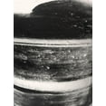 thumbnail image 2 of Phillip, Jamie 25x32 Black Ornate Wood Framed with Double Matting Museum Art Print Titled - Butter Cream 2, 2 of 4