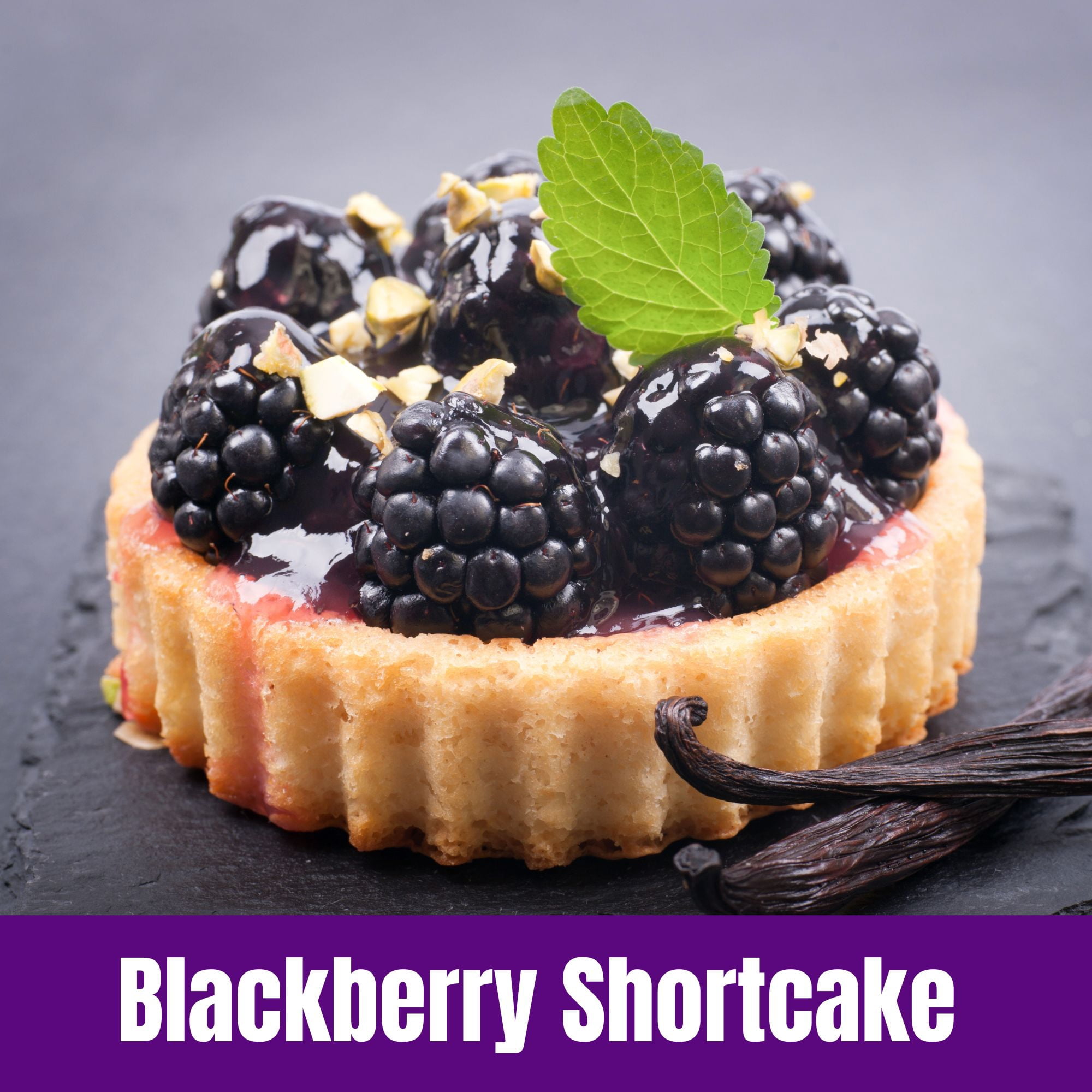 Door County Coffee Blackberry Shortcake Flavored Specialty Arabica Coffee, Medium Roast, Ground, 8oz Bag (Spring & Summer Limited Edition)