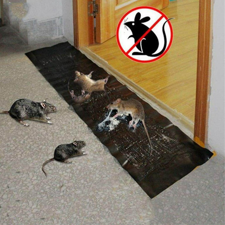 2/4/8pcs Reusable Plastic Mouse Trap Rat Mice Catching Rat Traps