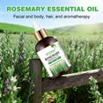 thumbnail image 6 of Mooyam Rosemary Essential Oil for Hair Care, Diffuser, Massage, Add to Shampoo, Conditioner-118mL, 6 of 14