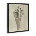 thumbnail image 2 of Stupell Industries Traditional Broken Conch Shell Black Floating Frame Canvas Art, 17 x 21, by Michael Willett, 2 of 7