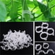 thumbnail image 3 of 400/600pc Clip De Planta De Plástico Asegurado, Clips De Jardín Para Plantas Trepadoras, Clips De Plástico Clips De Soporte De Plantas Tomate Uva Vid Vegetales Clips De Fijación De Plantas, 3 of 8