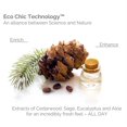 thumbnail image 2 of (Pack Of 6) Giovanni Cosmetics Men Styling Hair Clay 2 Oz, 2 of 4