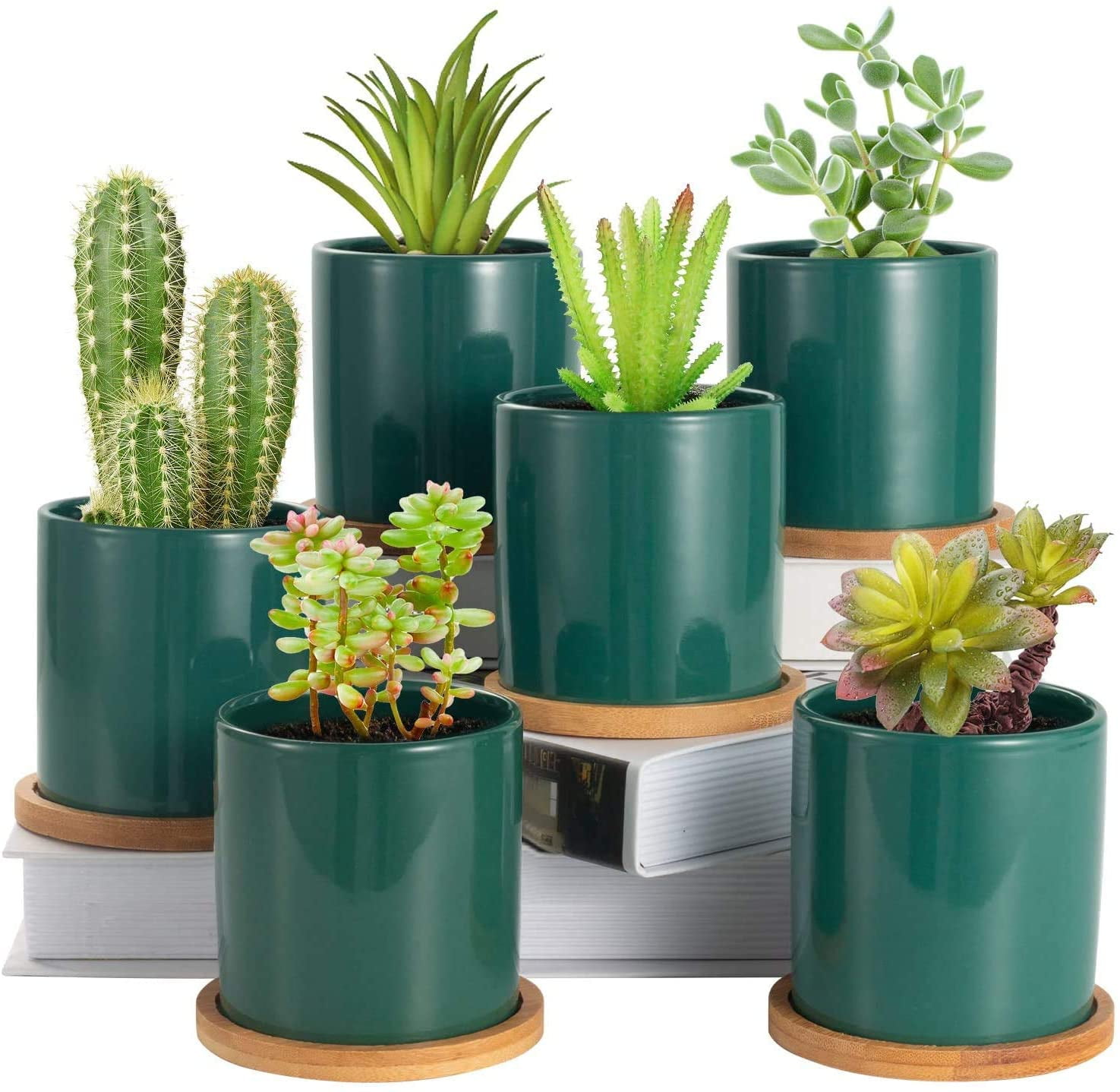 EFISPSS Succulent Plant Pots 3.2 inch Ceramic Flower Pot with Bamboo Tray 6 Pack Blue Plants NOT Included Small Cactus Planter Pots with Drainage Holes for House Office Decor and Gift 