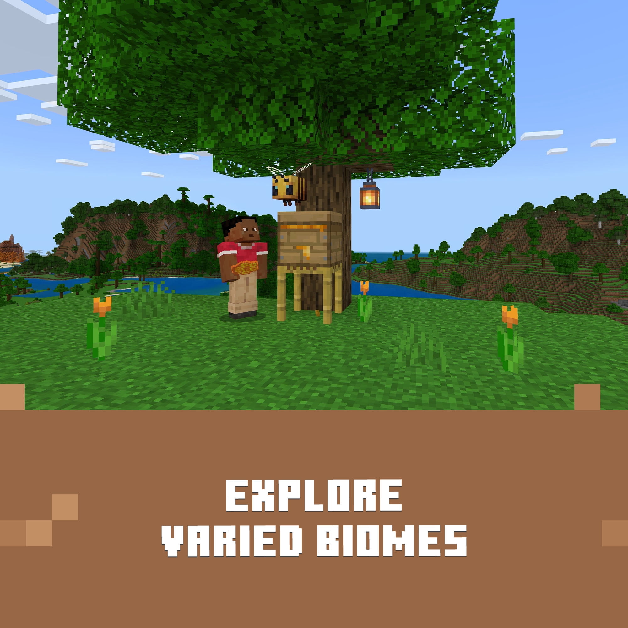 Buy Minecraft Java Bedrock Deluxe Collection (Windows