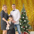 thumbnail image 2 of 3.2 ft x 9.8 ft Metallic Tinsel Foil Fringe Curtains for Party Photo Backdrop Wedding Decor (1 Pack, Gold), 2 of 5