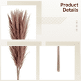 thumbnail image 3 of 100 Pcs Pampas Grass Decor, Dried Flower Bouquet, Includes Pampas Grass, Reed, Bunny Tails, & Feathertail, 17.3 in / 44 cm, Natural Boho Floral Arrangement for Home, Wedding, DIY Décor, 3 of 5