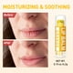 thumbnail image 5 of Bálsamo labial Dmsky Natural Bulk, paquete de 36 con vitamina E y aceite de coco, 5 of 7
