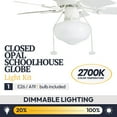 thumbnail image 5 of Prominence Home Hero 28" White Low Profile Ceiling Fan with Light, 5 of 14