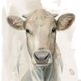 thumbnail image 2 of Popp, Grace 20x20 White Modern Wood Framed Museum Art Print Titled - Prairie Bovine I, 2 of 4