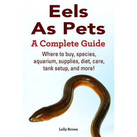 Eels As Pets. Where to buy, species, aquarium, supplies, diet, care, tank setup, and more! A Complete Guide -