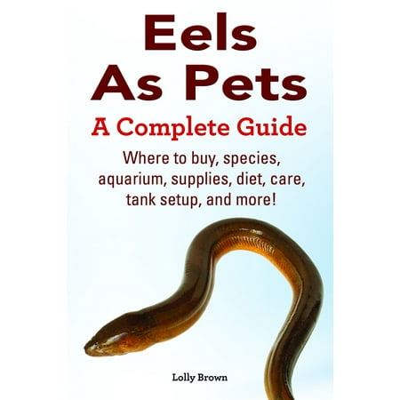 Hourglass Where To Buy Eels As Pets. Where to buy, species, aquarium, supplies, diet, care, tank setup, and more! A Complete Guide - eBook ()