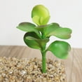 thumbnail image 3 of 4PCS Artificial Succulent DIY Fake Succulent Artificial Plant for Home Decor, 3 of 7