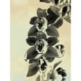 thumbnail image 3 of Burghardt, James 19x24 Black Modern Framed Museum Art Print Titled - Orchid Blush Panels IV, 3 of 5