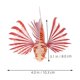 thumbnail image 2 of UPOUART 4Ud Peces Decorativos Artificiales Con Material Resistente Y Para Acuario, 2 of 8