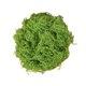 thumbnail image 1 of Musgo verde artificial de 30/100 g para manualidades, plantas de interior, jardines de hadas, centros de mesa, peceras, micropaisajes, musgo artificial decorativo., 1 of 8