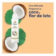 thumbnail image 5 of Antitranspirante Dove tono uniforme en aerosol para dama 150 ml, 5 of 5