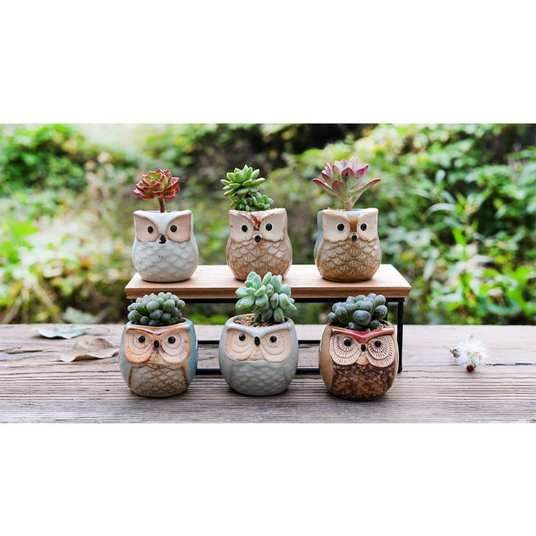 Gifts for Wife, Wedding Anniversary Romantic Gift for Her, Valentines Day  Gift, Wife Birthday Gift Ideas, 3 Succulent Pots Only 