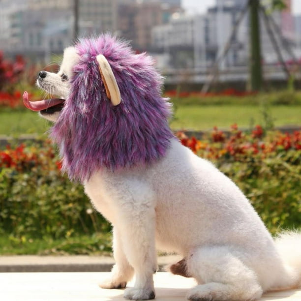 Pet Cat Lion Mane Costume Lion Hair Wig for Small Dogs Cats Christmas Party Gift Pet Cat Lion Mane Costume Lion Hair Wig for Small Dogs Cats Christmas Party Gift