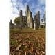 Posterazzi DPI1891073LARGE Ruines du Château de Roxburgh Près de Kelso - Frontières Écossaises, Affiche Écossaise Imprimée, 24 x 38 - Grand – image 1 sur 1